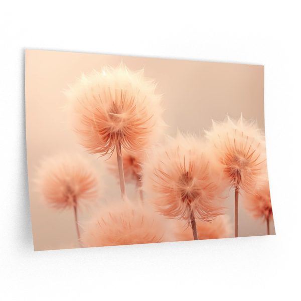 Misty Peach Dandelions  - Wall Decals - Image 5