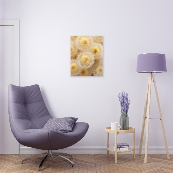 Dandelion Down Motif - Acrylic Prints - Image 30