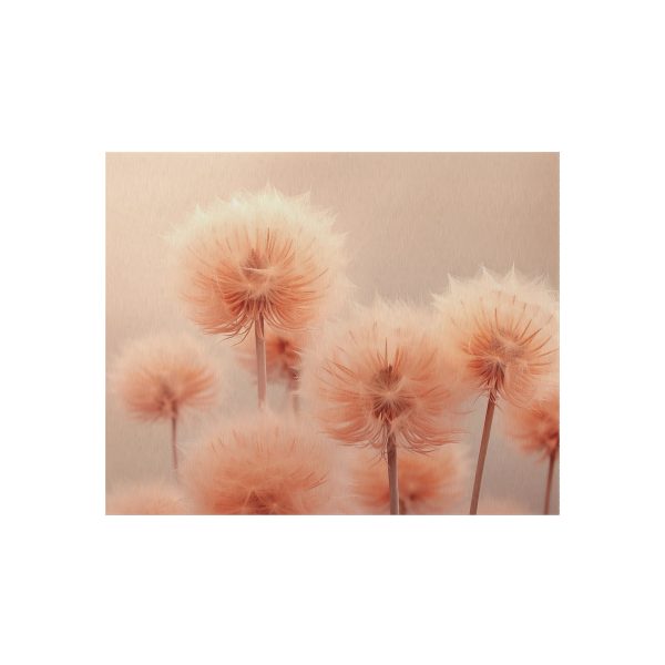 Misty Peach Dandelions - Outdoor Rug