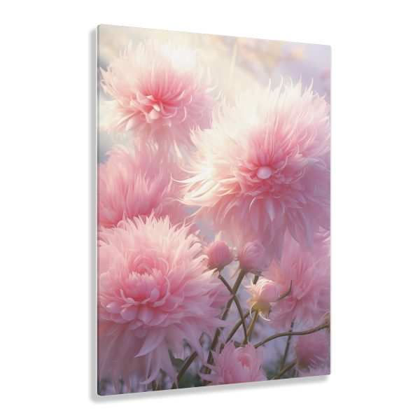 Rise and Shine Powder Puffs - Acrylic Prints - Image 16