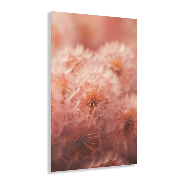 Lovely Fuzzy Fluff in Peach 02 - Acrylic Prints