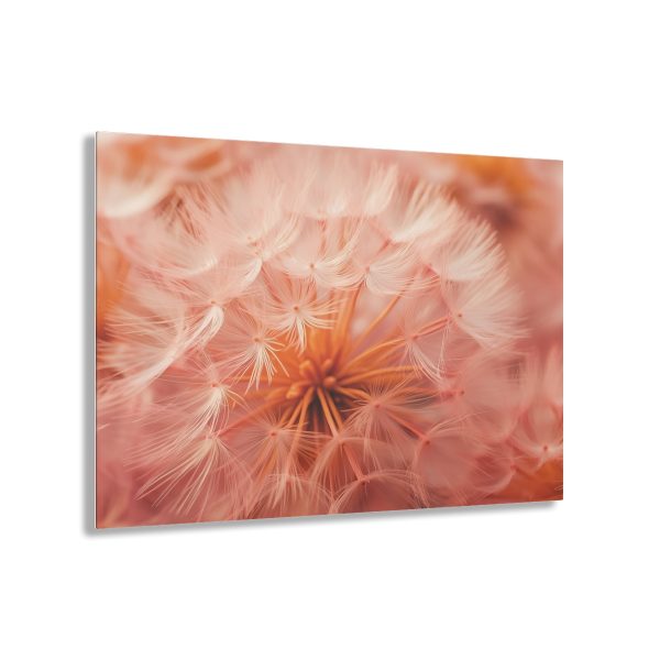 Lovely Fuzzy Fluff in Peach 01 - Acrylic Prints - Image 46