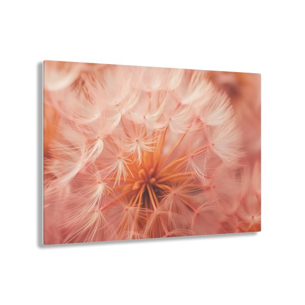 Lovely Fuzzy Fluff in Peach 01 - Acrylic Prints - Image 51