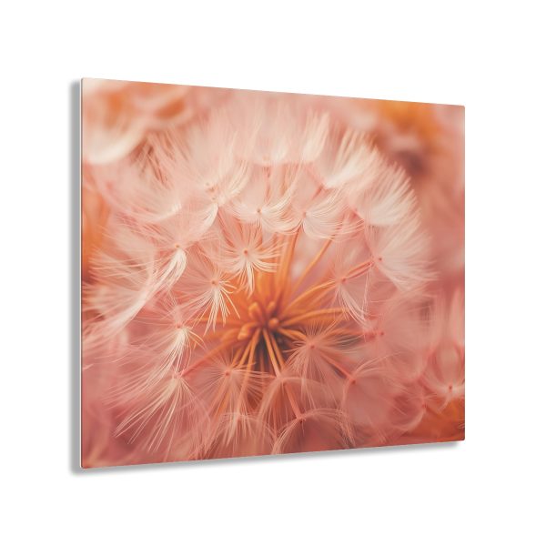 Lovely Fuzzy Fluff in Peach 01 - Acrylic Prints