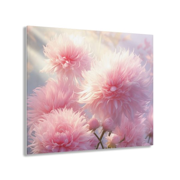 Rise and Shine Powder Puffs - Acrylic Prints - Image 51