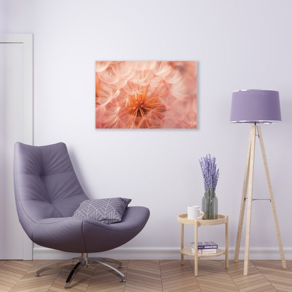 Lovely Fuzzy Fluff in Peach 01 - Acrylic Prints - Image 10