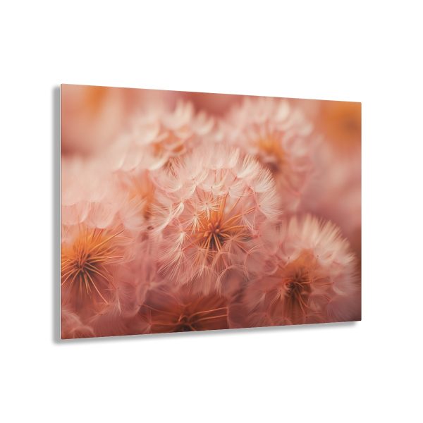 Lovely Fuzzy Fluff in Peach 02 - Acrylic Prints - Image 6