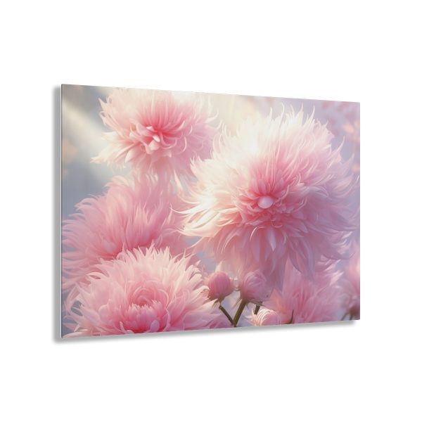 Rise and Shine Powder Puffs - Acrylic Prints - Image 11