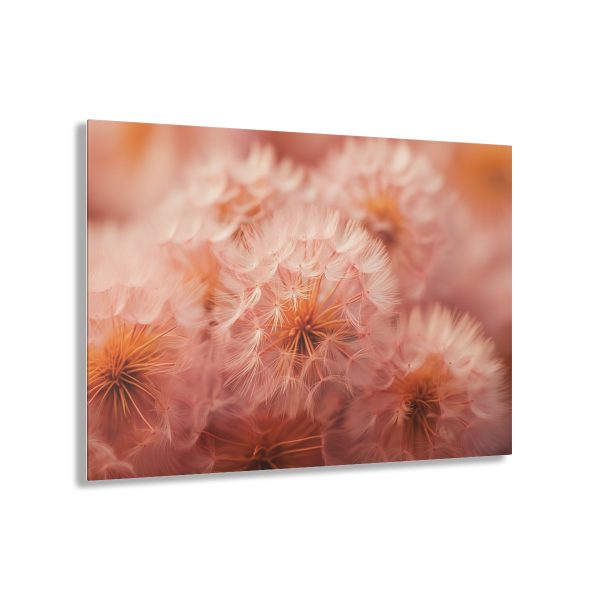 Lovely Fuzzy Fluff in Peach 02 - Acrylic Prints - Image 11