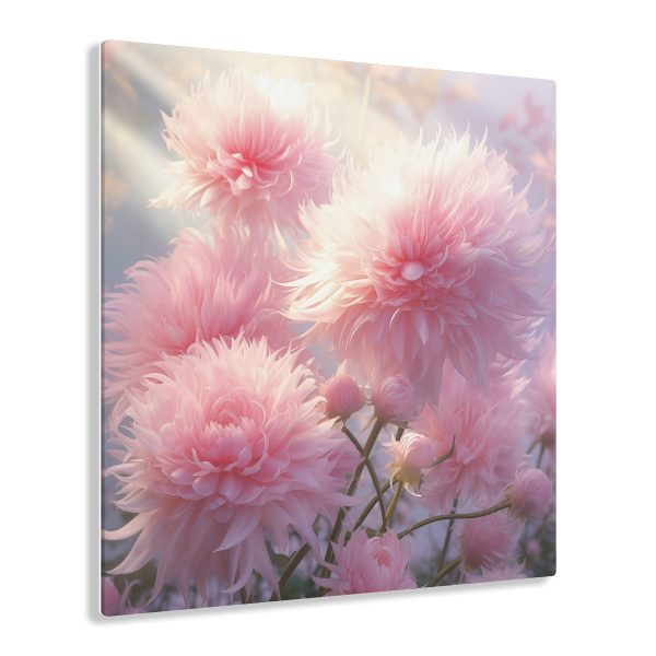 Rise and Shine Powder Puffs - Acrylic Prints