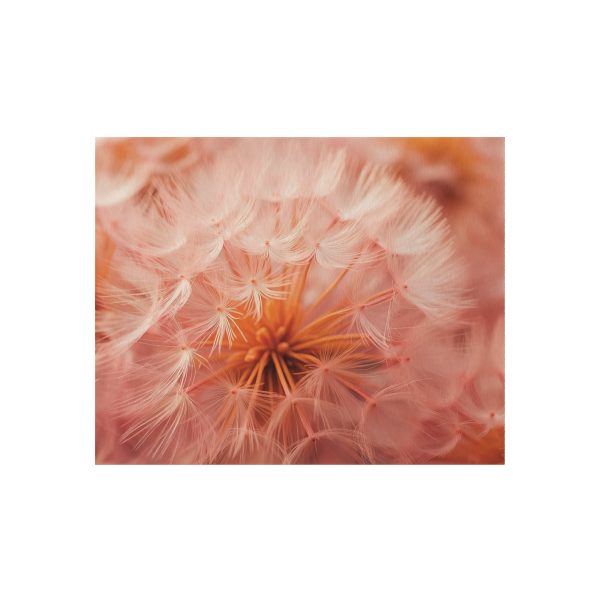 Lovely Fuzzy Fluff in Peach 01 - Outdoor Rug