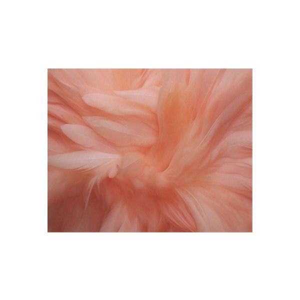 Lovely Fuzzy Feathers in Peach 01 - Outdoor Rug